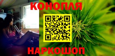 spice Камышлов