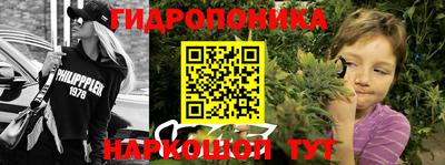 прущие крисы Канаш