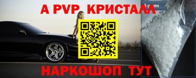 spice Камышлов