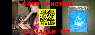 spice Камышлов