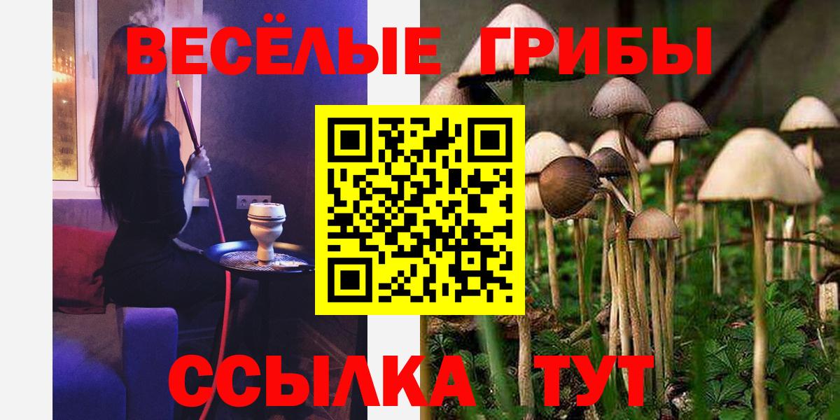 Шали  Галлюциногенные грибы GOLDEN TEACHER  Вход с VPN 
